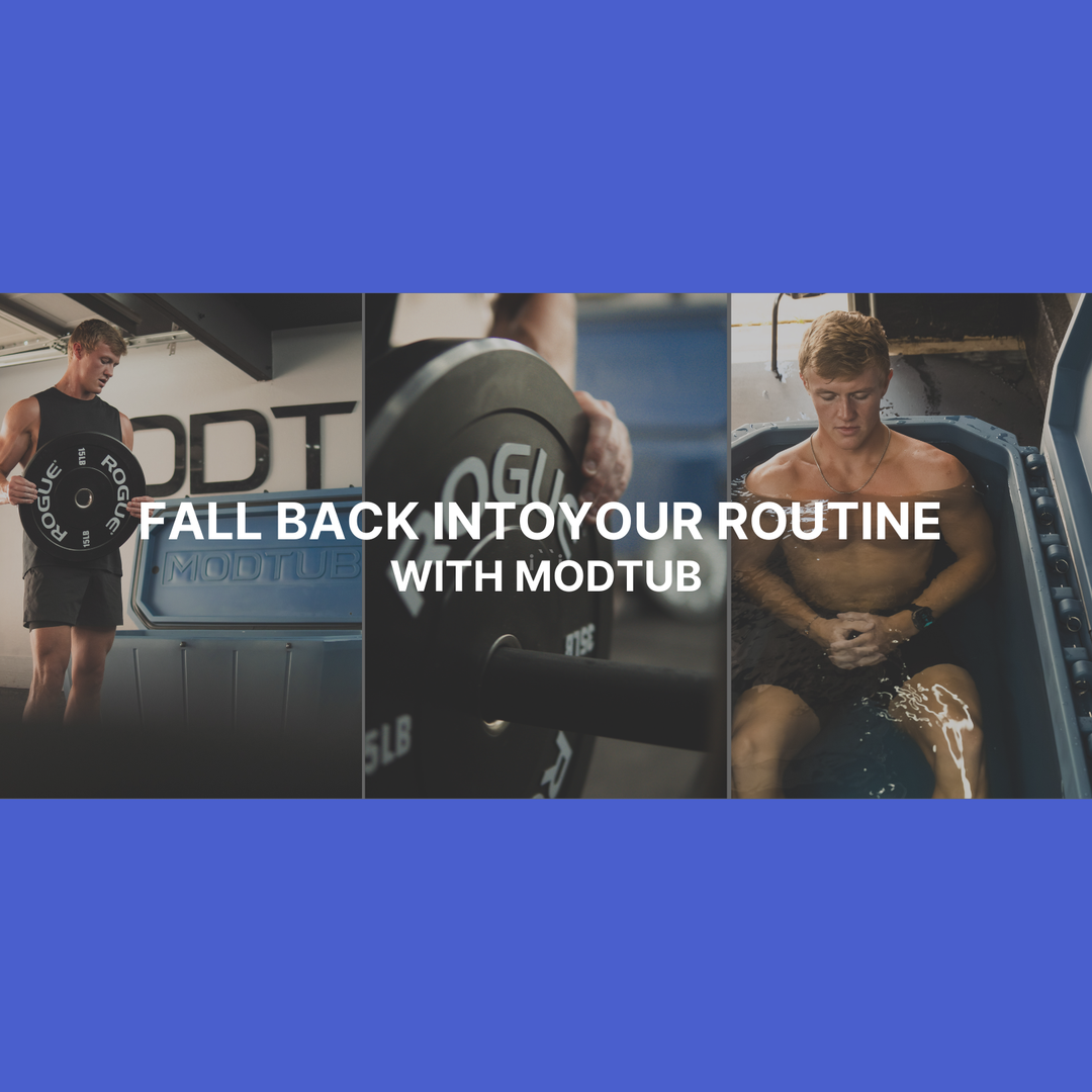 Fall Back Into Your Routine with Modtub